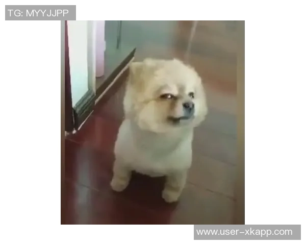 尤文图斯锁定圭多罗德里格斯期待斯帕莱蒂决定并关注凯西动态